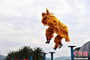 梦见洗澡（文化中国行）壮乡狮舞闯南洋：脚踏“云桩” 饮誉海内外