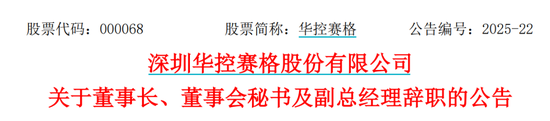 华控赛格董事长、董秘、副总经理三高管同日辞(🥧)职